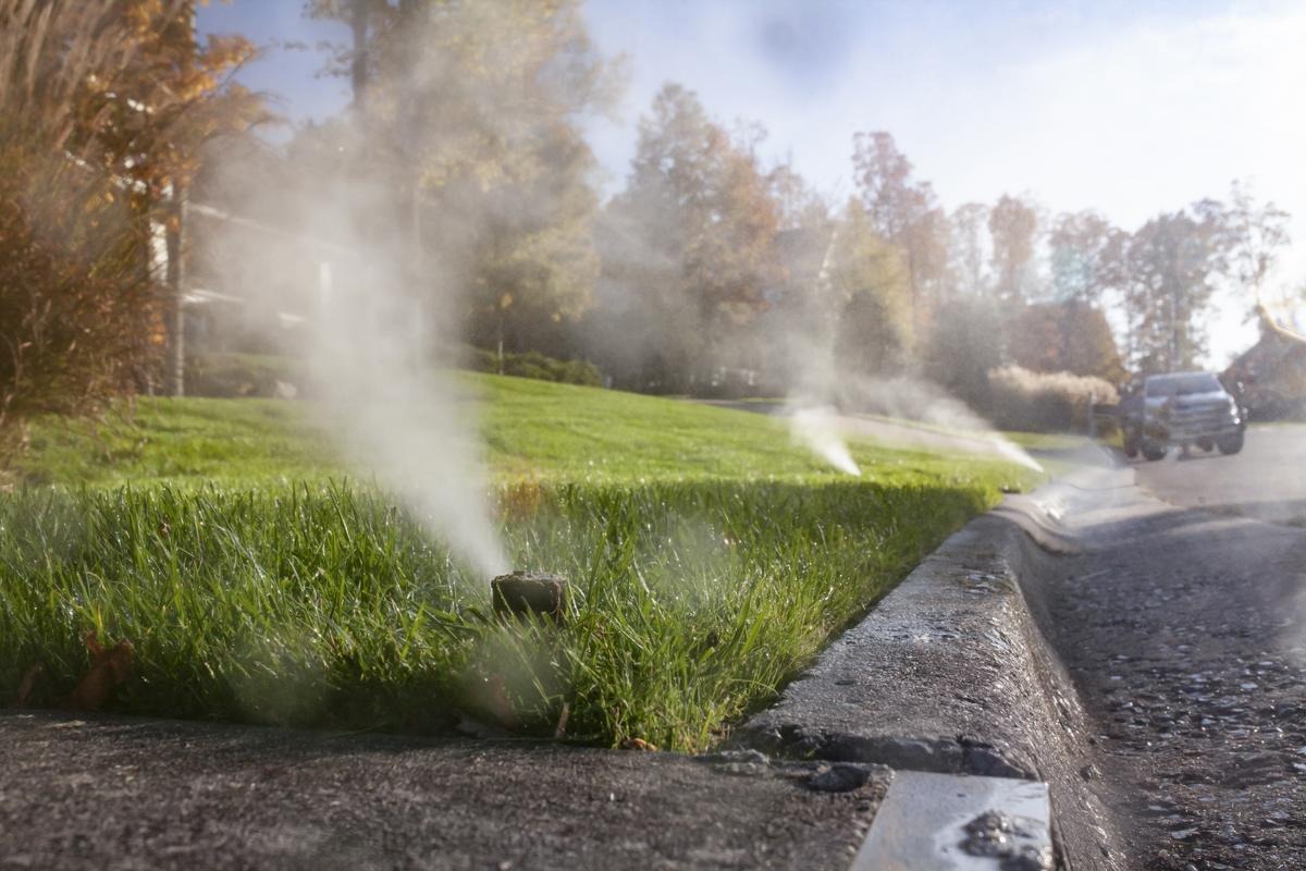 sprinklers in the grass