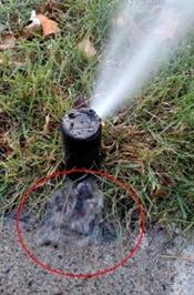hidden sprinkler head leak