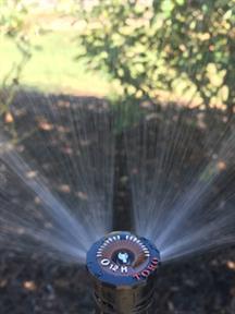 Toro Sprinkler Head