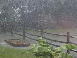 Heavy Rainfall 