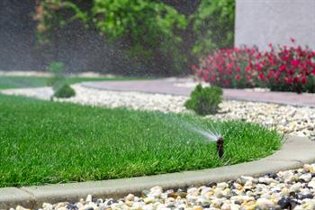 Beautiful Garden And Lawn