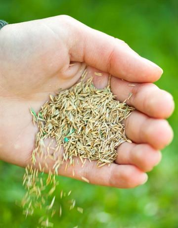SoilMoist Grass Seed Coat 8oz Hydrogel Landscaping Treats 50lbs Seeds Save Water 