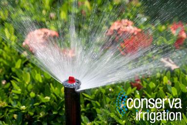 Close Up OF Sprinkler Head Spraying Water