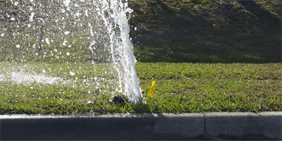 Broken Sprinkler Shooting Water Up Into The Air