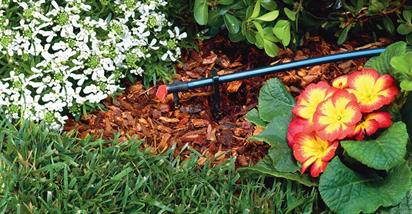 Drip Irrigation Installation in Norfolk