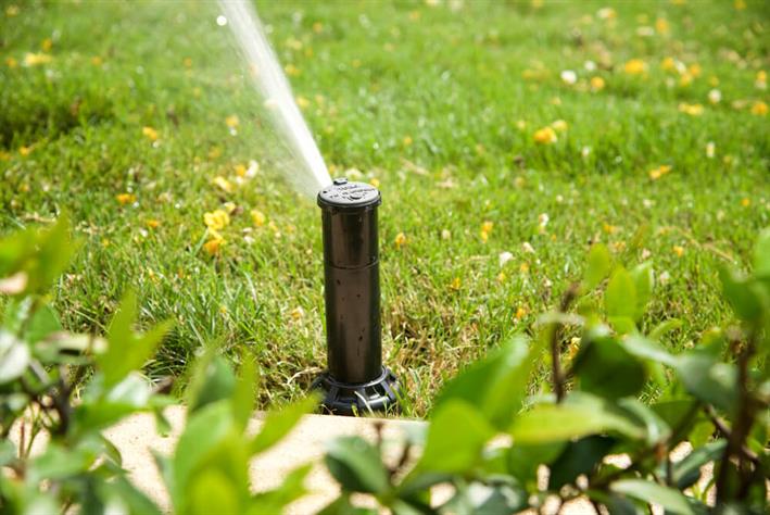 Sprinkler Water Head On A Beautiful Green Lawn