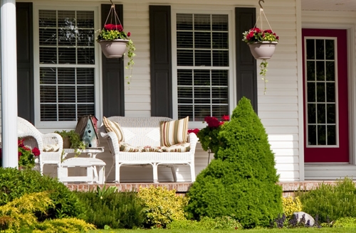 Drip Irrigation: Here's What You Need to Know