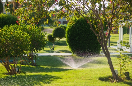 Irrigation system in tropical park at summer sunset | Conserva Irrigation