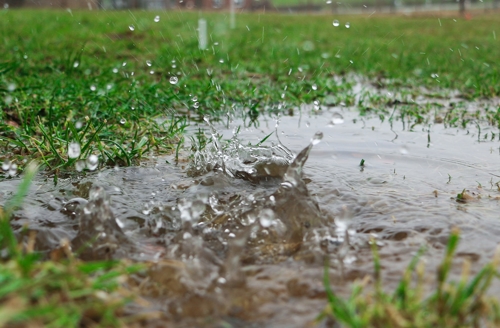 Rain puddle forms in a muddy grass yard
