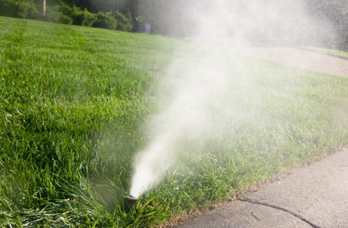 sprinklers in front yard