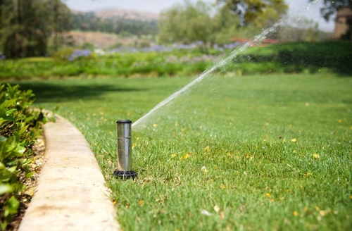 sprinkler head watering grass