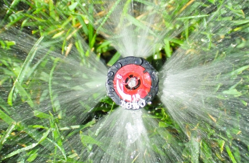 sprinkler close up