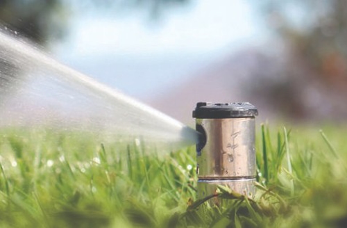 Sprinkle and Irrigation System Close up