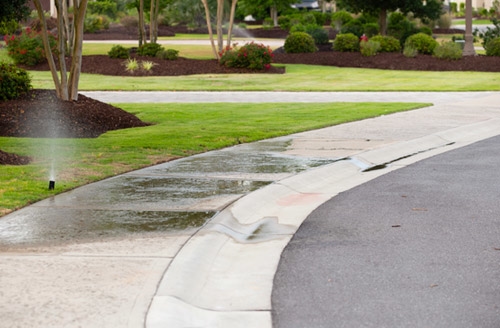 Broken sprinkler head in Bradenton FL