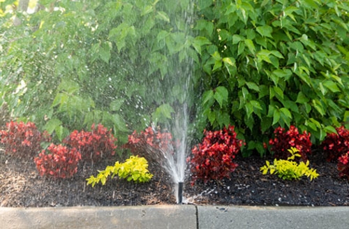 sprinkler spraying landscape by curb
