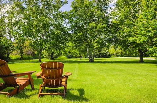 green grass and chairs