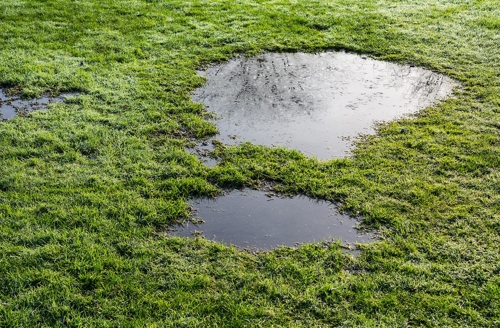 Puddles of Water in Lawn
