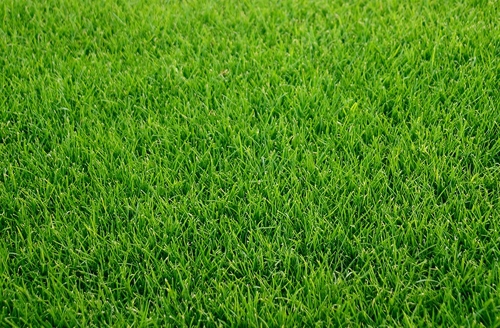 Lawn sprinkler install