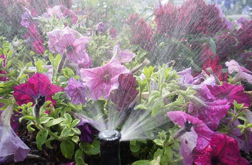 monroe irrigation repair