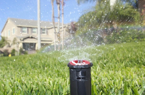 Sprinkler in lawn