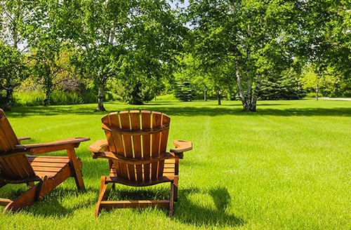 Park with green trees and grass and two lounge chairs