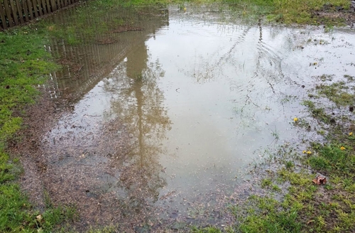 large pooling in lawn from drainage issue
