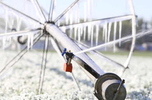 Sprinkler running in winter