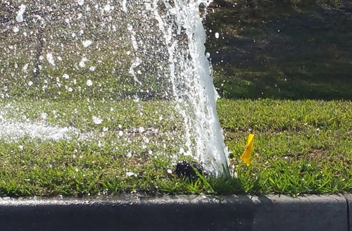 Irrigation Repair Punta Gorda Isles FL