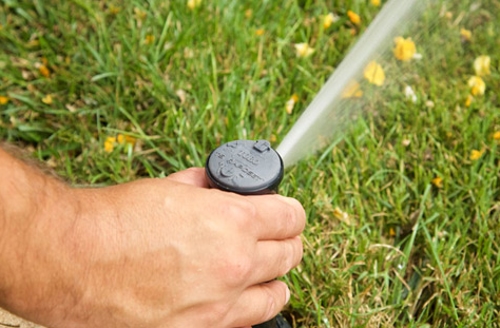 Sprinkler Head Repairs Venice FL