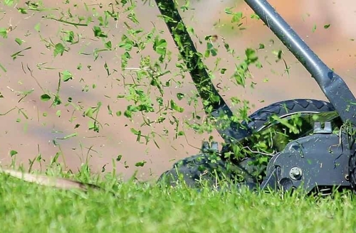 Reasons to keep your grass longer