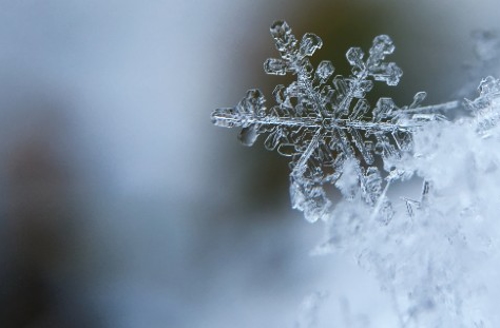 snowflake close up