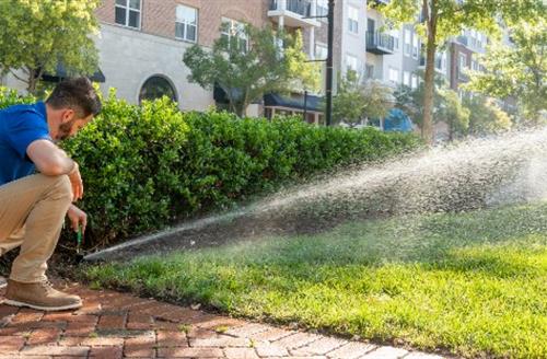 Irrigation System Startup
