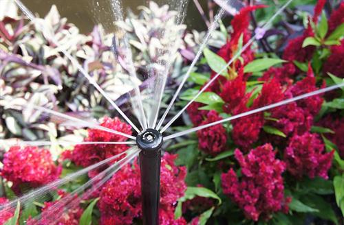 sprinkler with red flowers