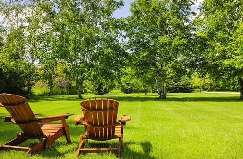 Two wooden chairs in a open grass park with trees
