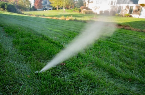 irrigation system having water blown out for winterization