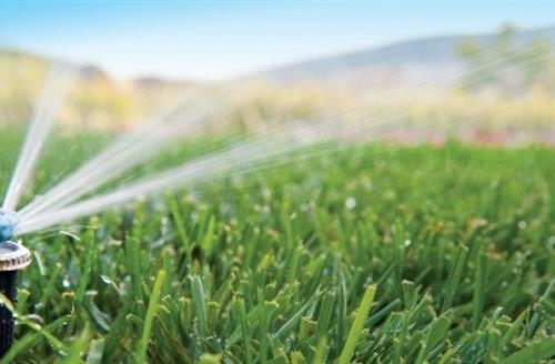 Sprinkle and Irrigation System Close up