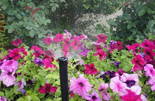Find Out How to Conserve Water Usage for Irrigation the Summer!
