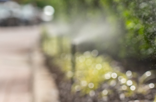 Sprinklers spraying water near a straight curb.