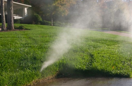 winterization of a lawn