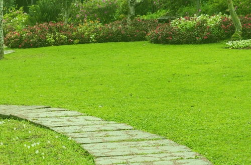 green grass with a walkway through the area