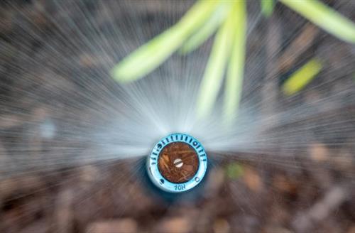 Irrigation Sprinkler Close-up