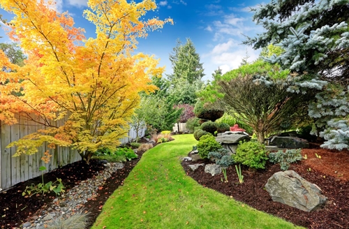 backyard grass path with trees and various plants