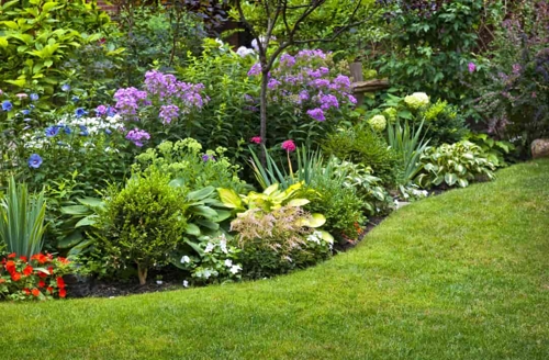 A lush garden with healthy green plants and flowers, watered by a professionally installed irrigation system, representing sustainable gardening during National Garden Month