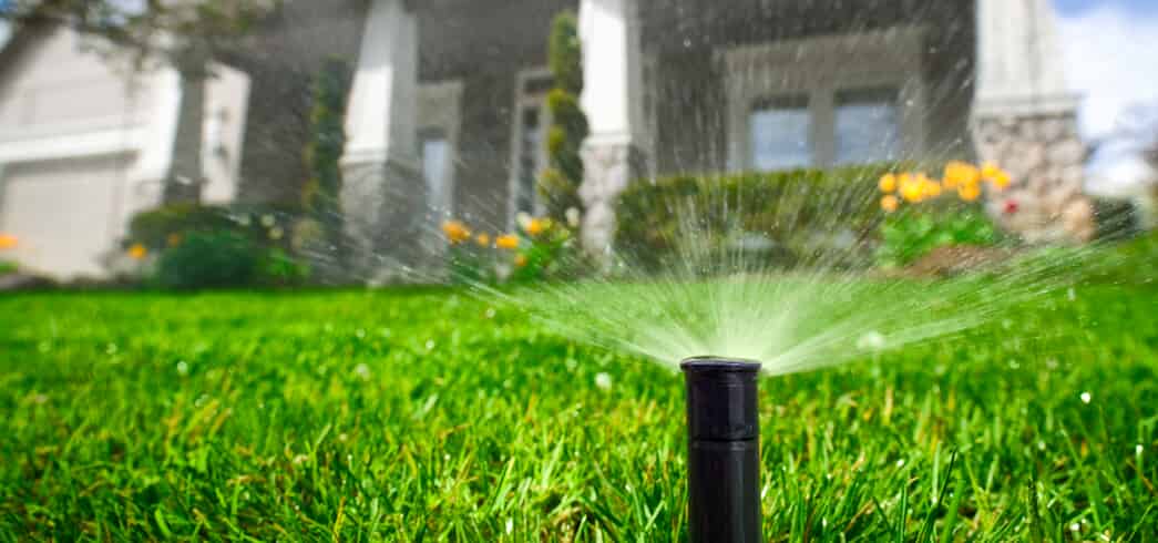 A sprinkler water a lush green lawn