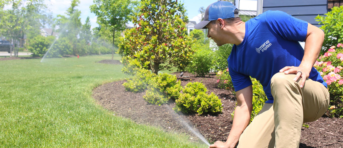 technician inspecting a lawn