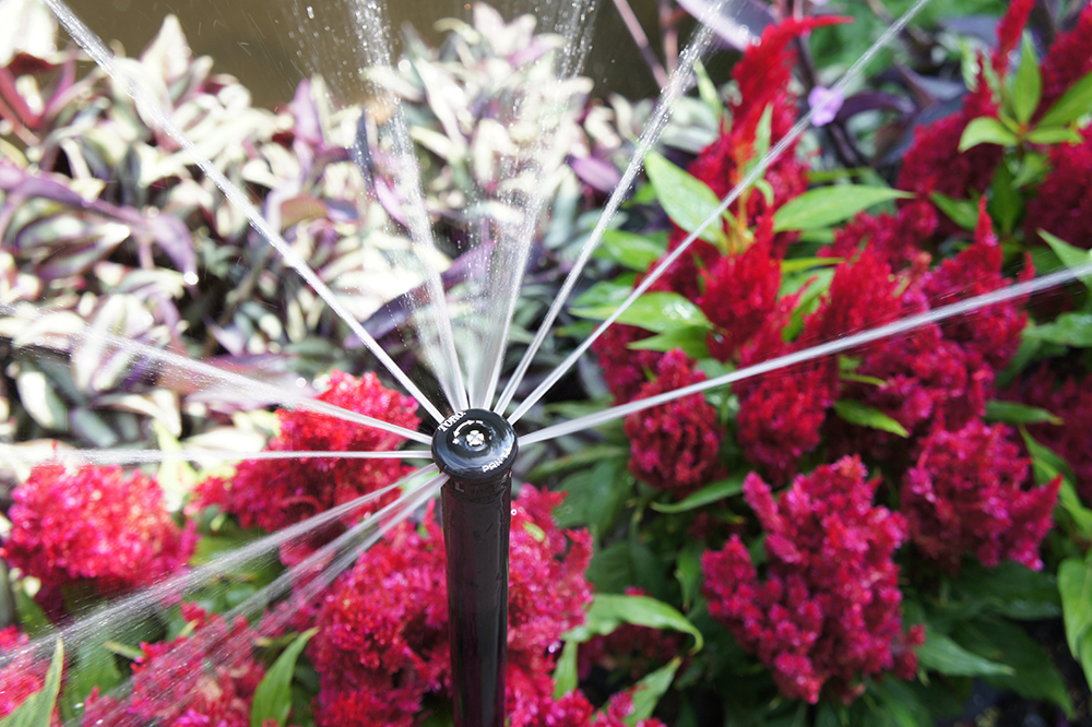 A sprinkler spraying water over pink and white flowers