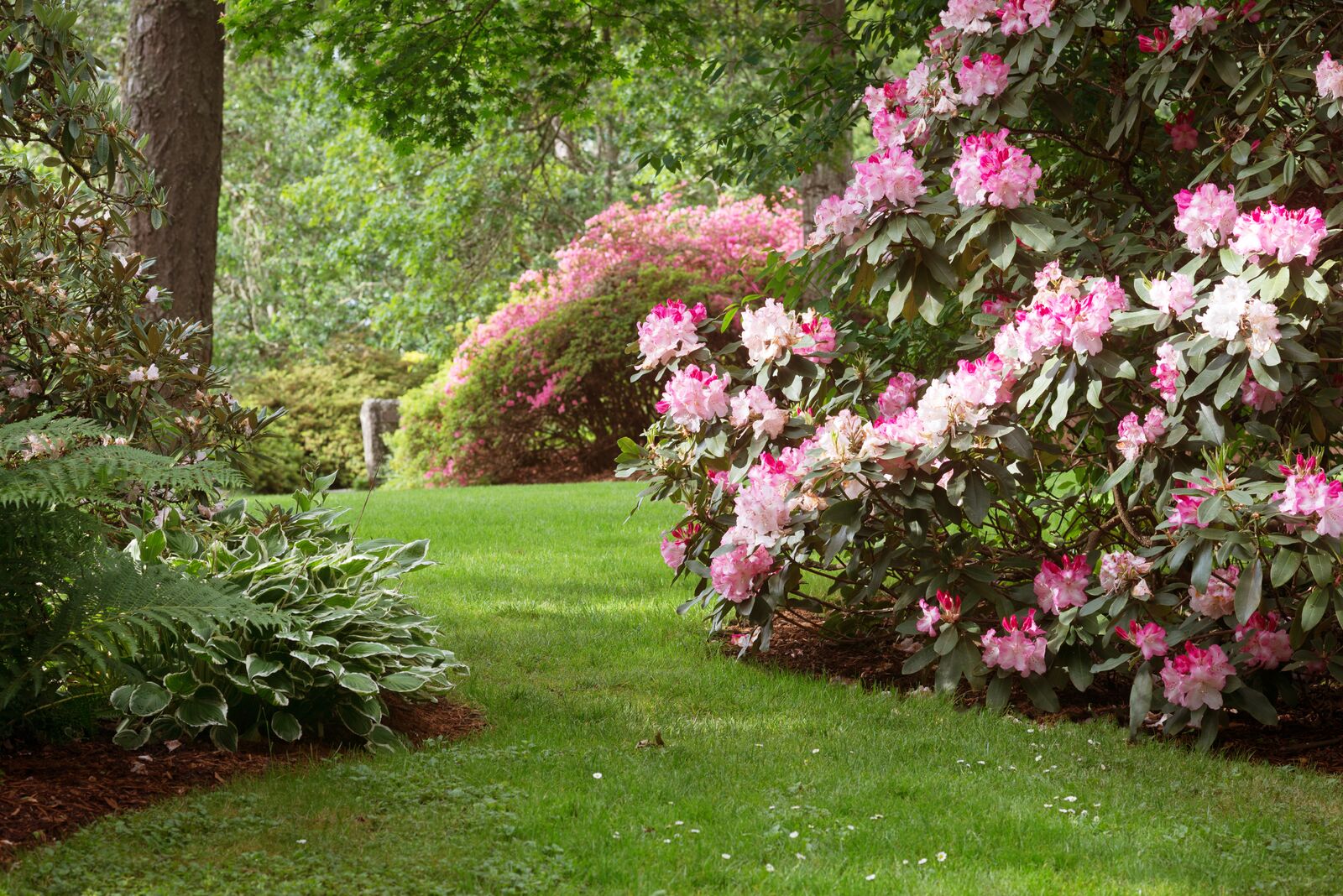 landscaping