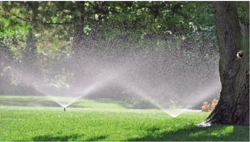 Commercial Sprinkler Services in Greenville