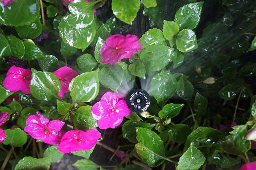 West windsor irrigation repair spring