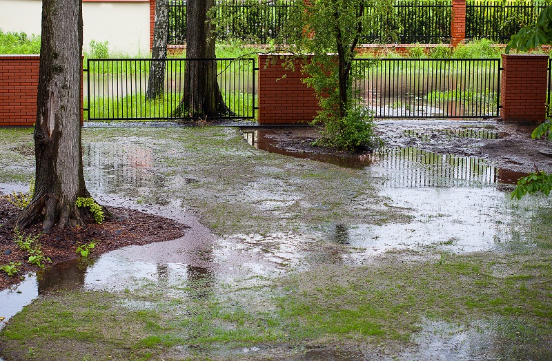 yard drainage solutions Williamsburg VA